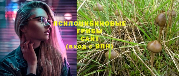 ешки Абаза