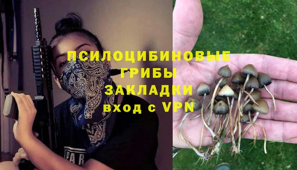 ешки Абаза