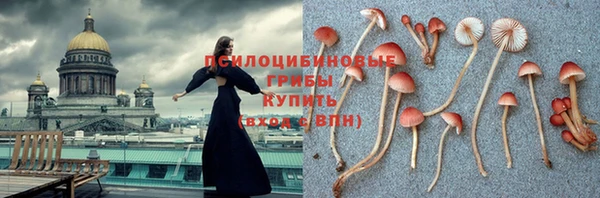 индика Остров